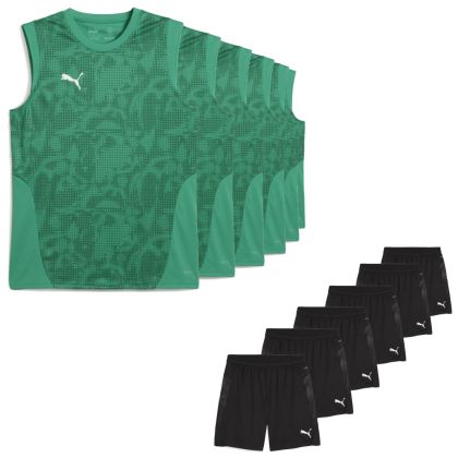 Puma teamCUP Fussball Shirt Satz