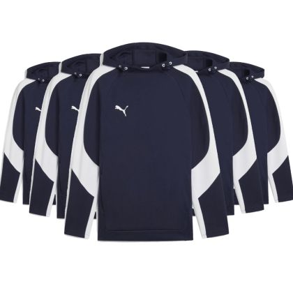 Puma teamEvostripe Hoody Set