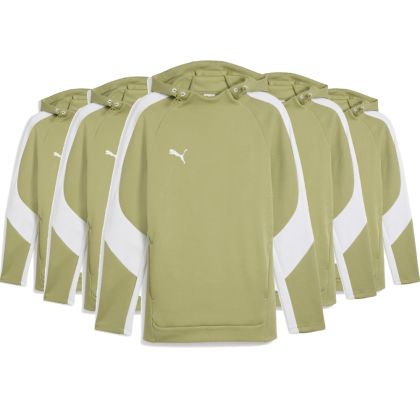 Puma teamEvostripe Hoody Set