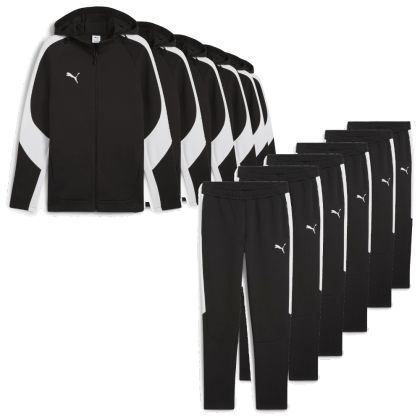 Puma teamEvostripe Sweatsanzug Satz