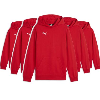 Puma teamGoal Hoody Set
