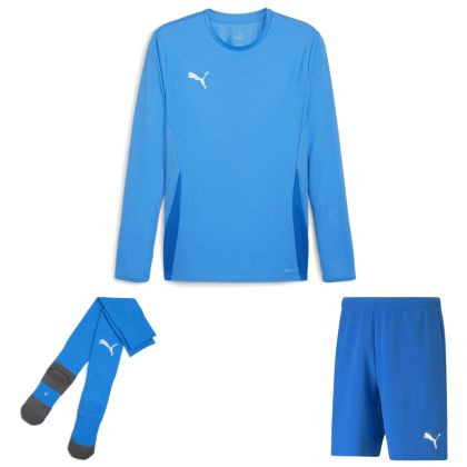 Puma teamGoal Trikotsatz langarm