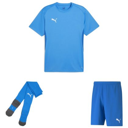 Puma teamGoal Trikotsatz