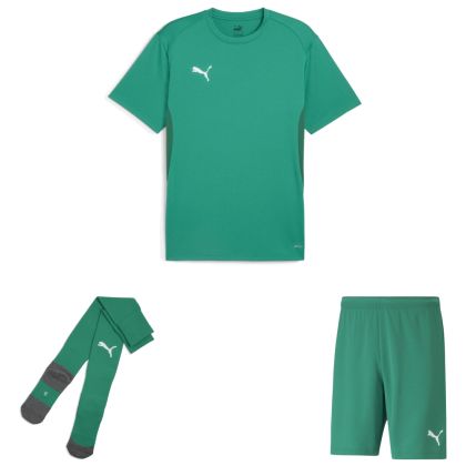 Puma teamGoal Trikotsatz