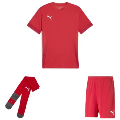 Puma teamGoal Trikotsatz