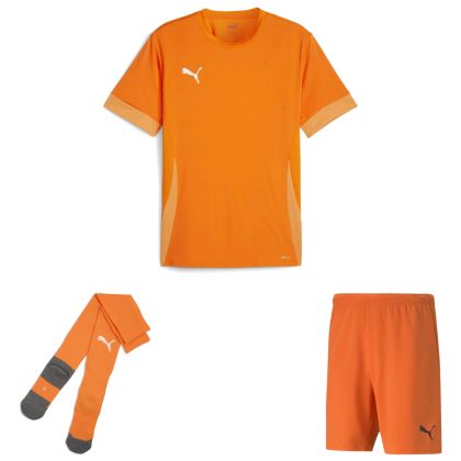 Puma teamGoal Trikotsatz