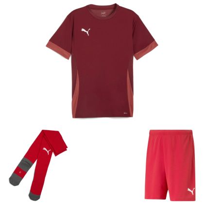 Puma teamGoal Trikotsatz