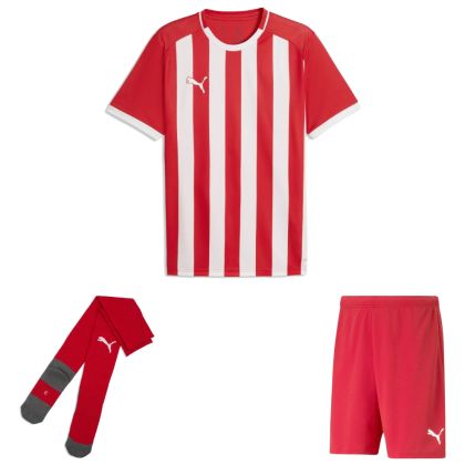 Puma teamLIGA26 Trikotsatz
