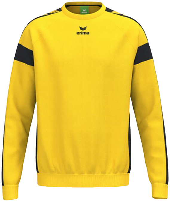 Erima CMPT 3 Wings Torwart Sweatshirt