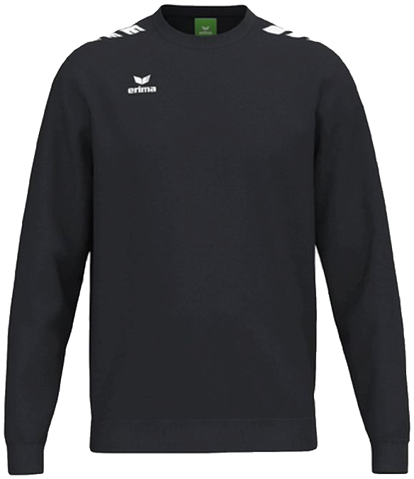 Erima Sweatshirt CMPT Wings