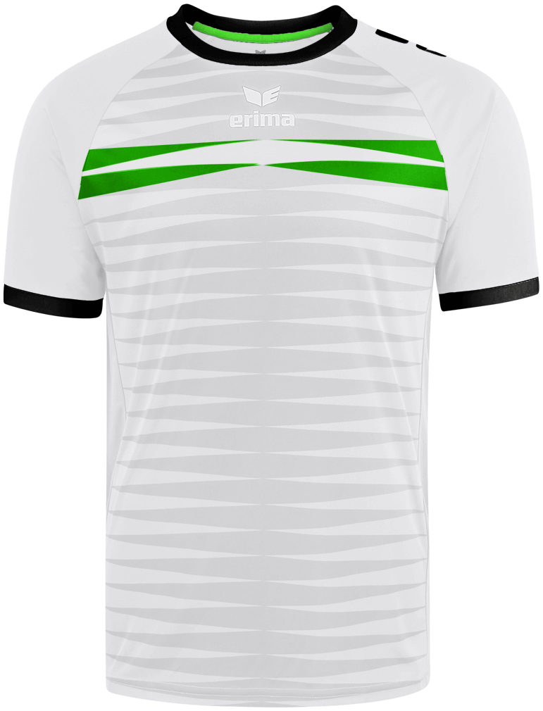 Erima Trikot Ferrara 2.0