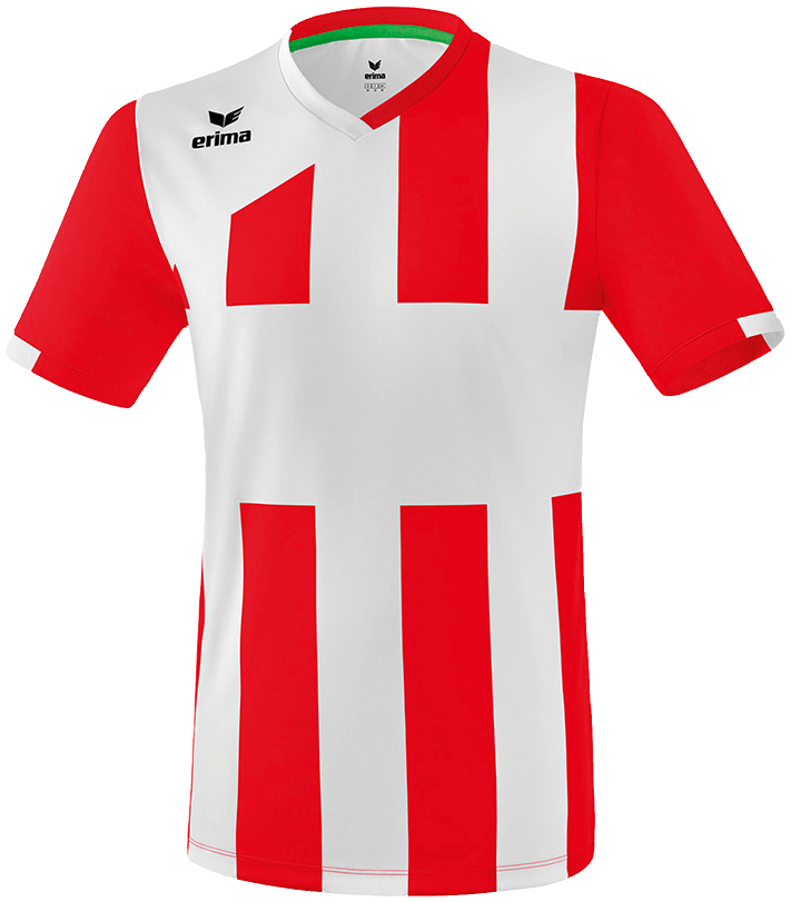 Erima Trikot Siena 3.0