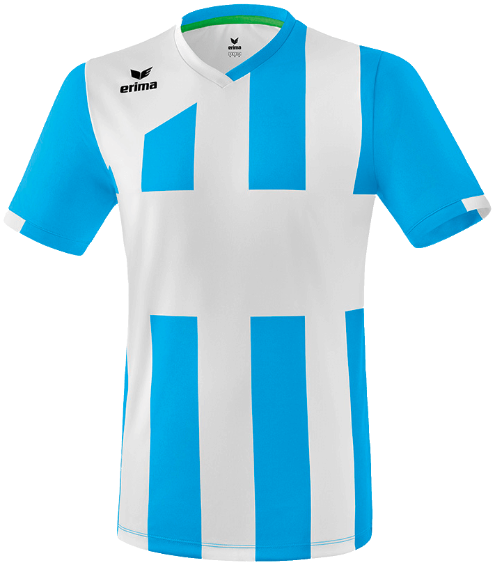 Erima Trikot Siena 3.0