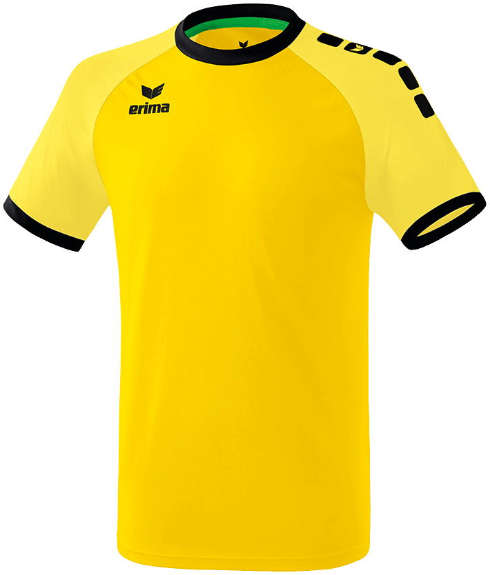 Erima Trikot Zenari 3.0