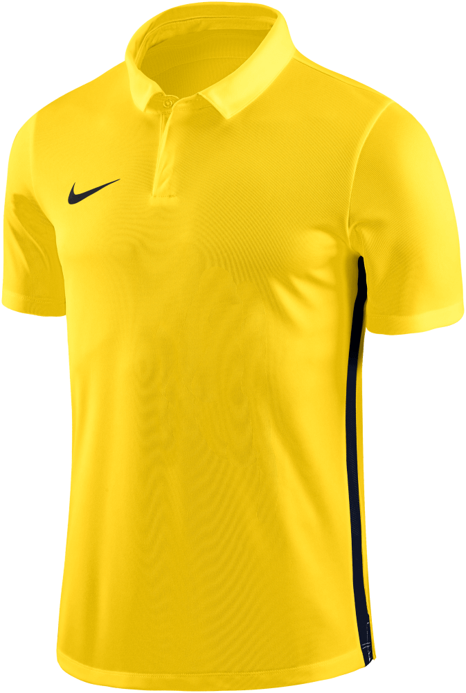 Nike Academy 18 Poloshirt