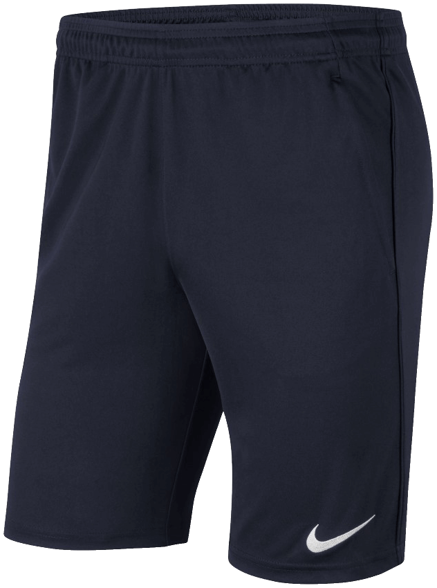 Nike Park 20 Dri FIT Trainingsshorts