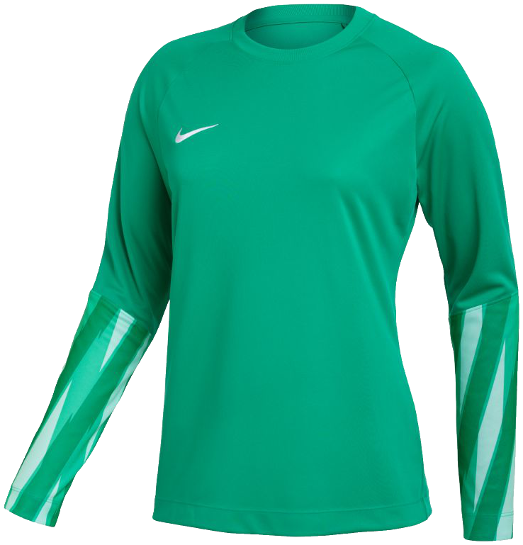 Nike Park Torwarttrikot V