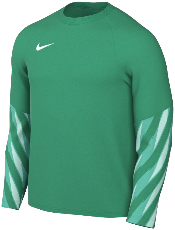 Nike Park Torwarttrikot V