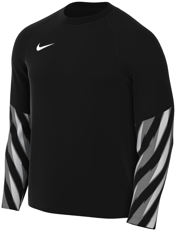 Nike Park Torwarttrikot V