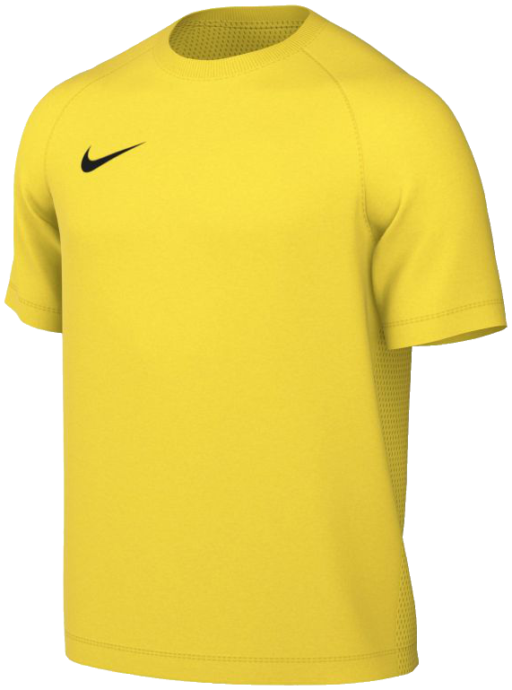 Nike Park Trikot VIII, 164, gelb/schwarz