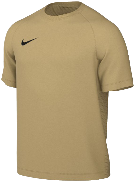 Nike Park Trikot VIII, 122-128, gold/schwarz