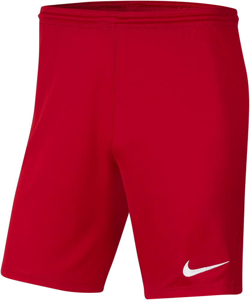 Nike Short Park 3