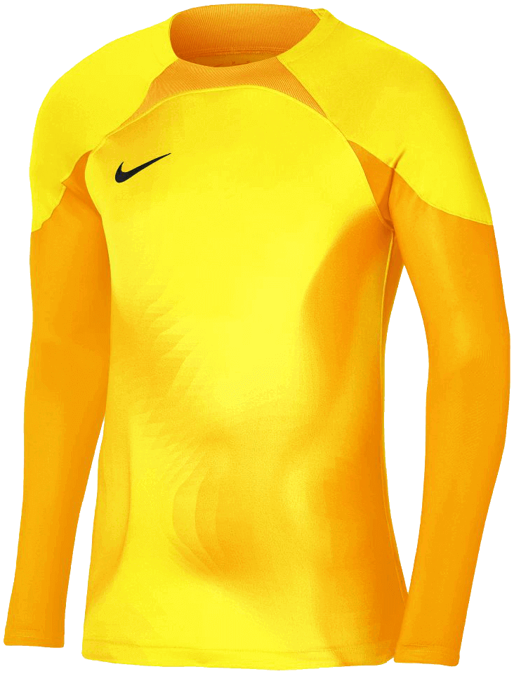 Nike Torwarttrikot Gardien IV