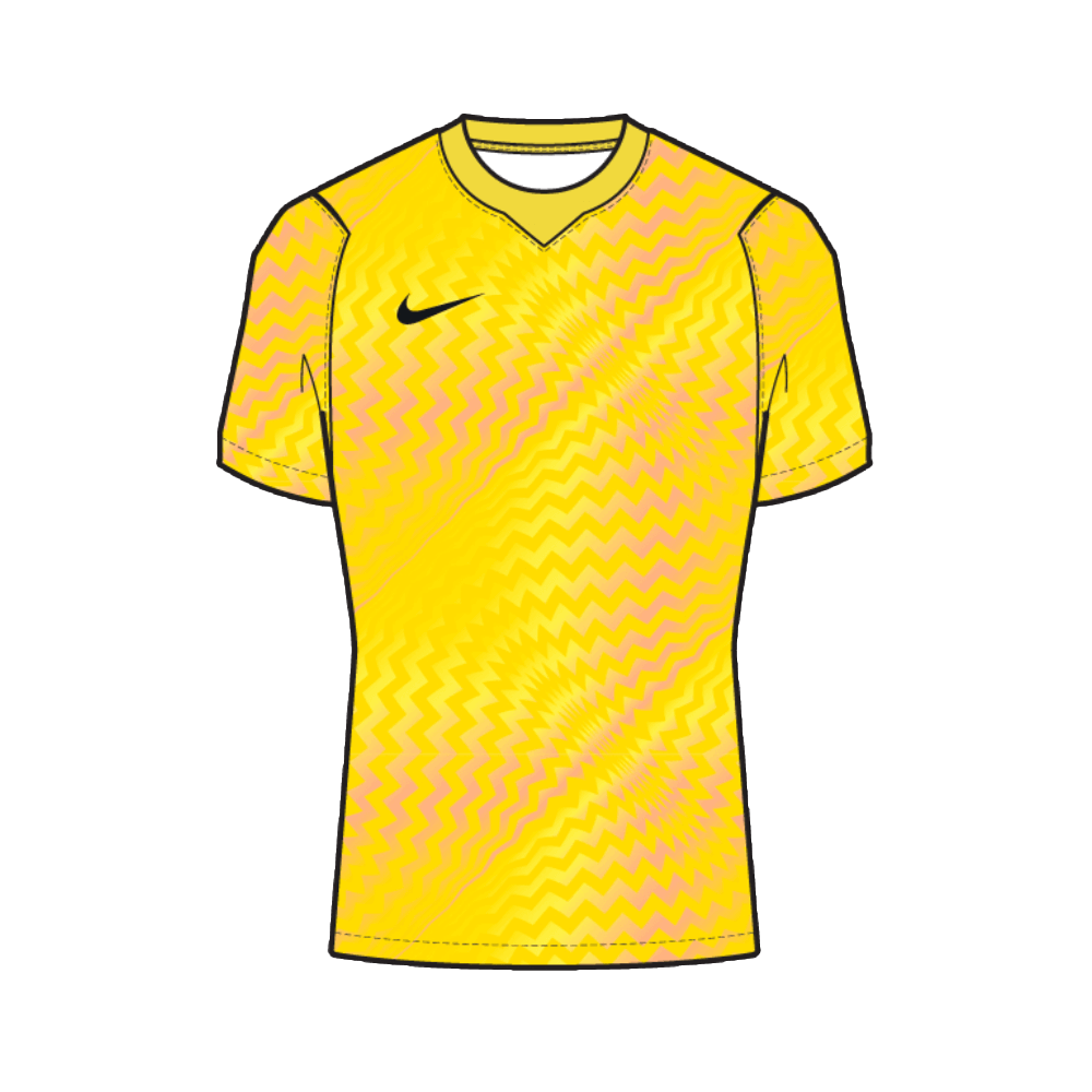 Nike Torwarttrikot Gardien VI