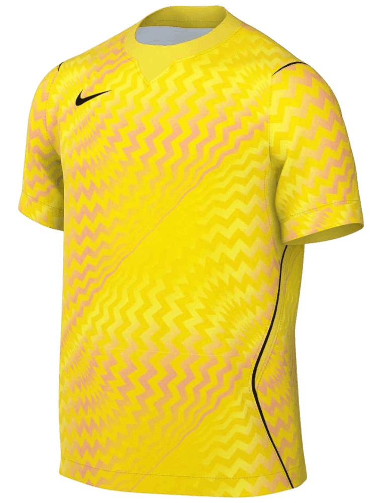 Nike Torwarttrikot Gardien VI