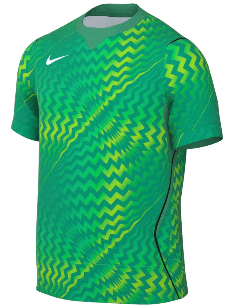 Nike Torwarttrikot Gardien VI