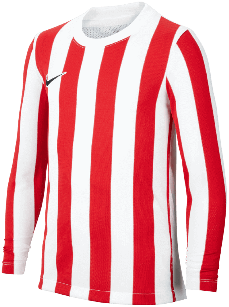 Nike Trikot langarm Striped Division IV