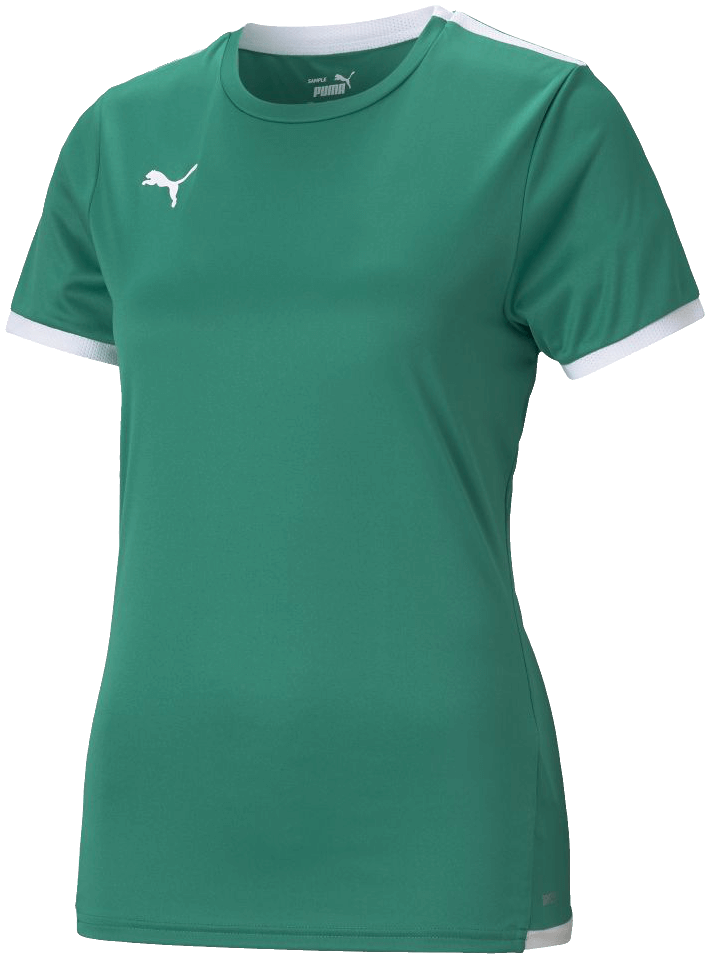 Puma Fussball Trikot Team Liga, L, grün/weiß