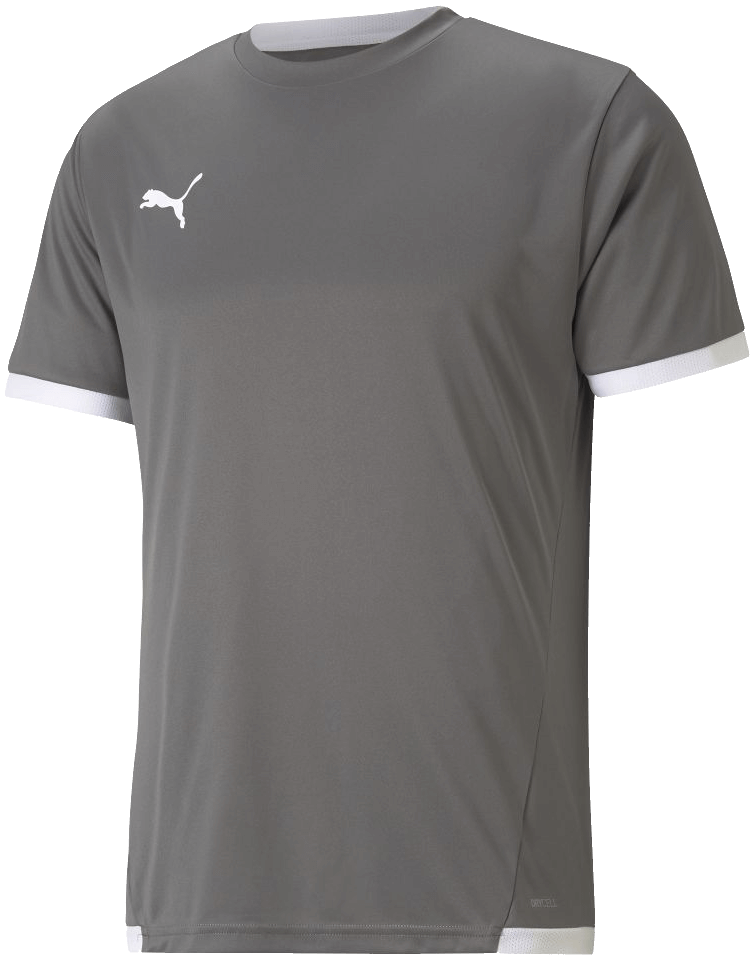 Puma Fussball Trikot Team Liga, XL, grau/weiß