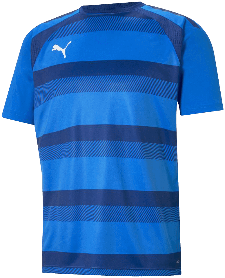 Puma Fussball Trikot Team Vision