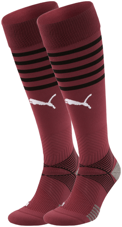 Puma Sockenstutzen Team FINAL