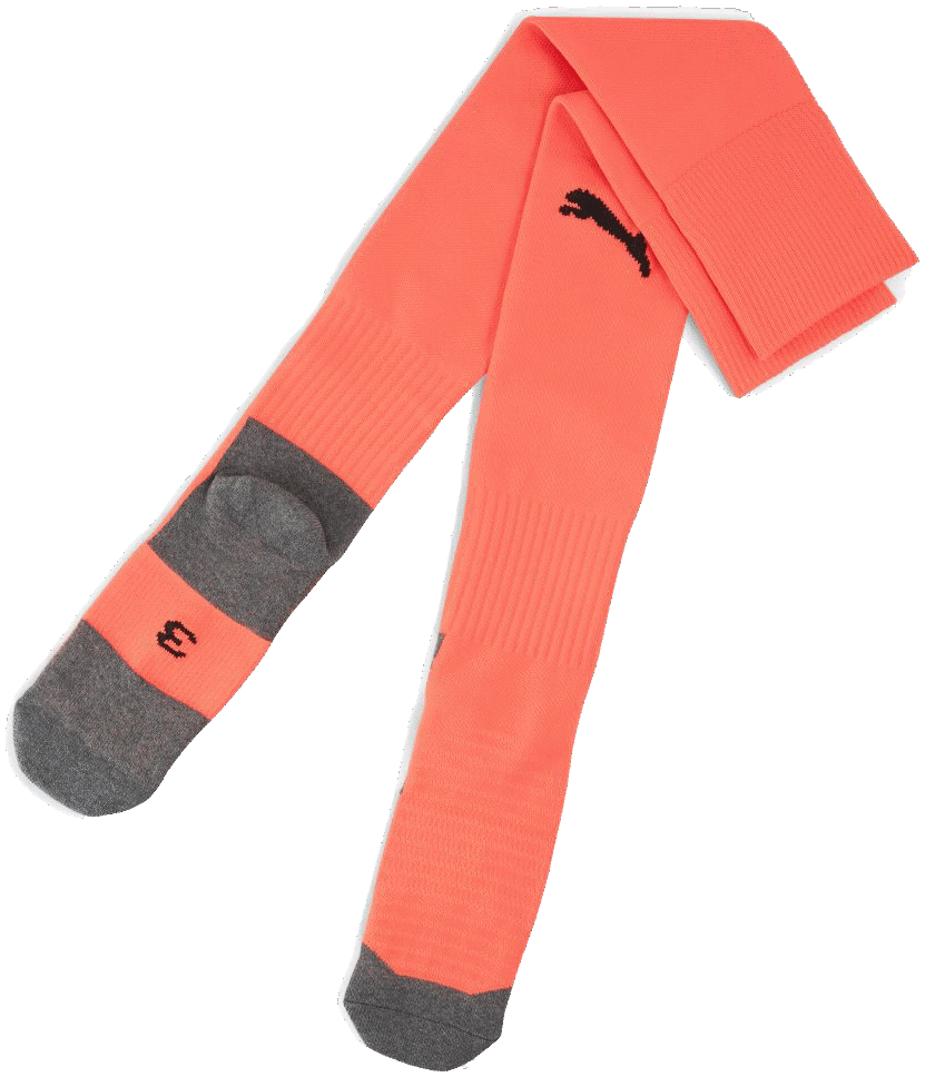Puma Sockenstutzen teamLIGA Core