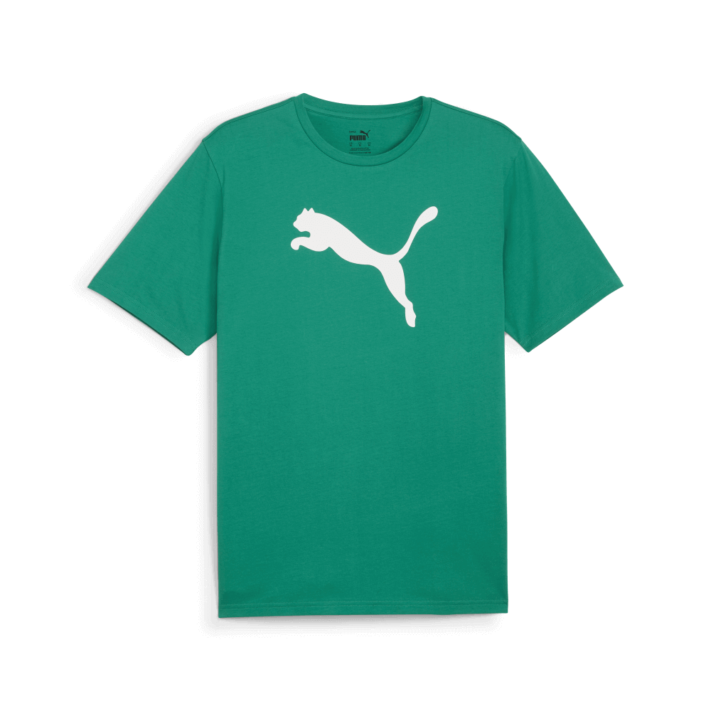 Puma T-Shirt teamRISE