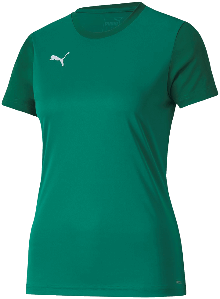 Puma Team Goal 23 T-Shirt