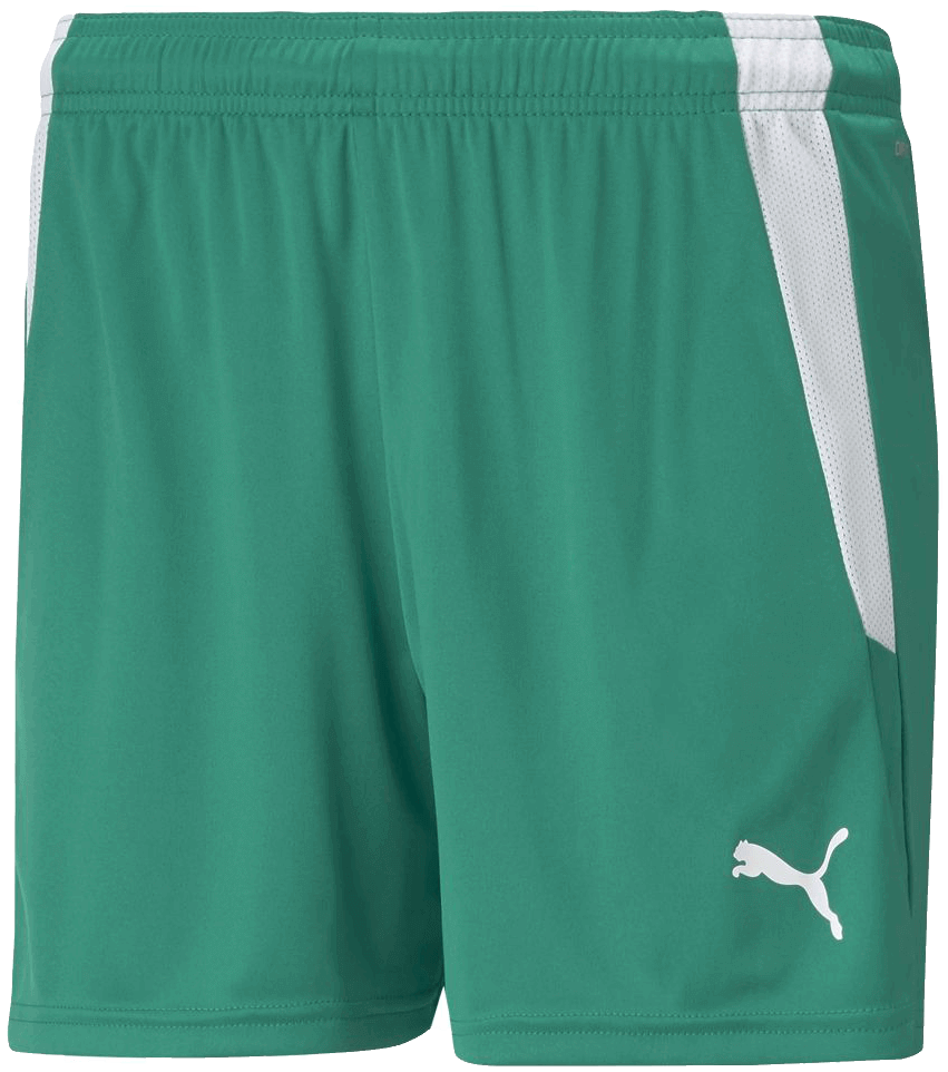 Puma Team Liga Fussballshort, XL, grün/weiß