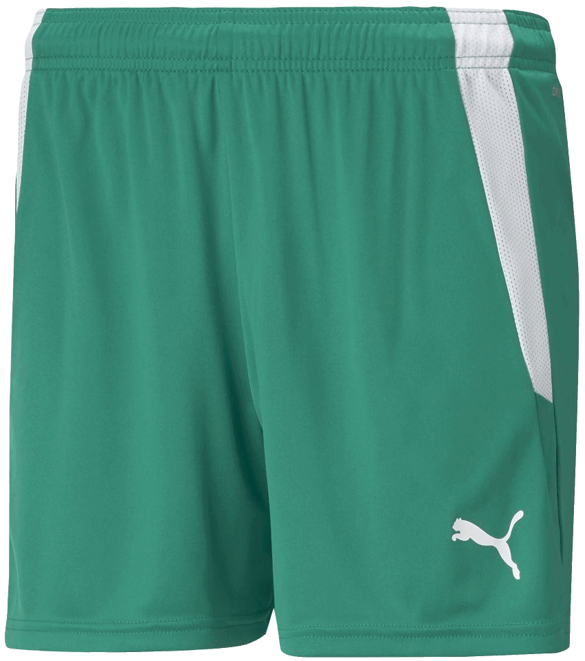 Puma Team Liga Fussballshort