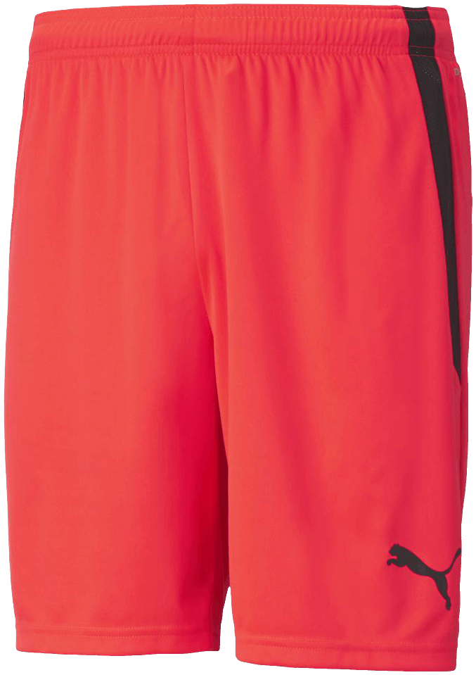 Puma Team Liga Fussballshort, L, neonrot/schwarz
