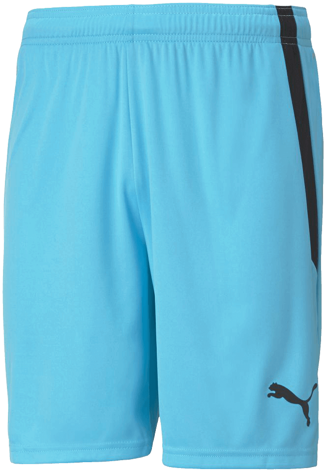 Puma Team Liga Fussballshort