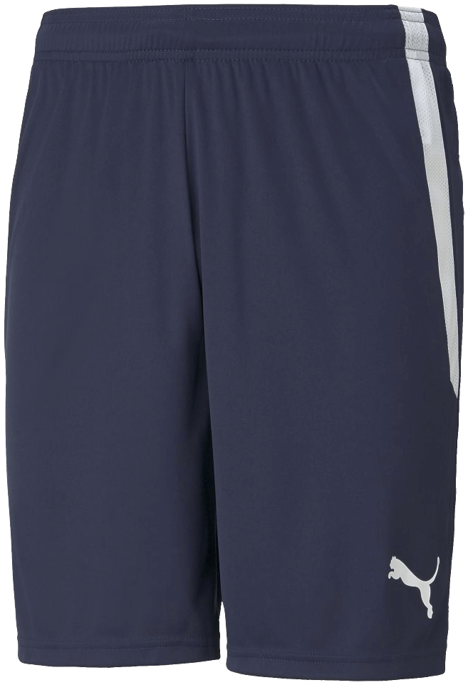 Puma Team Liga Fussballshort, 176, marine/weiß