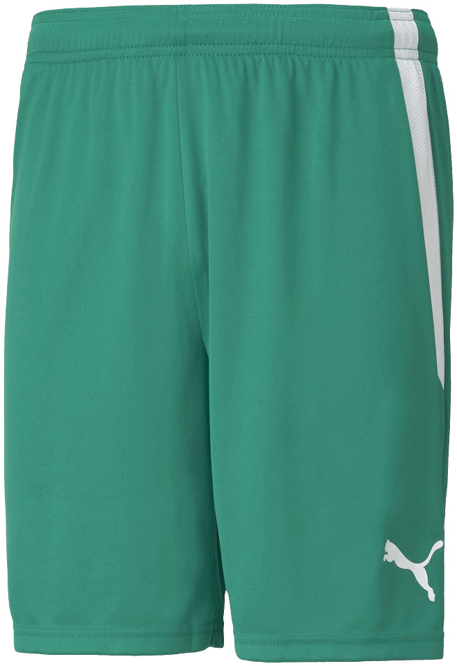 Puma Team Liga Fussballshort, 2XL, grün/weiß