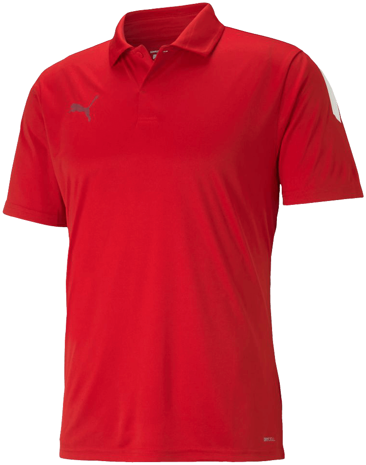 Puma Team Liga Poloshirt