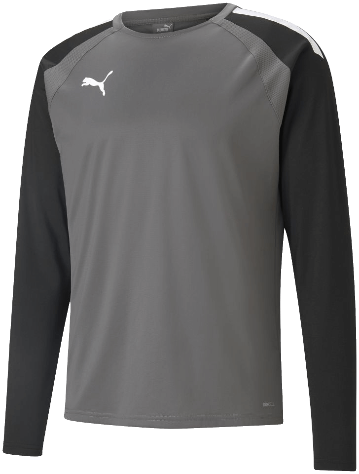 Puma Team Liga Sweatshirt, L, grau/weiß