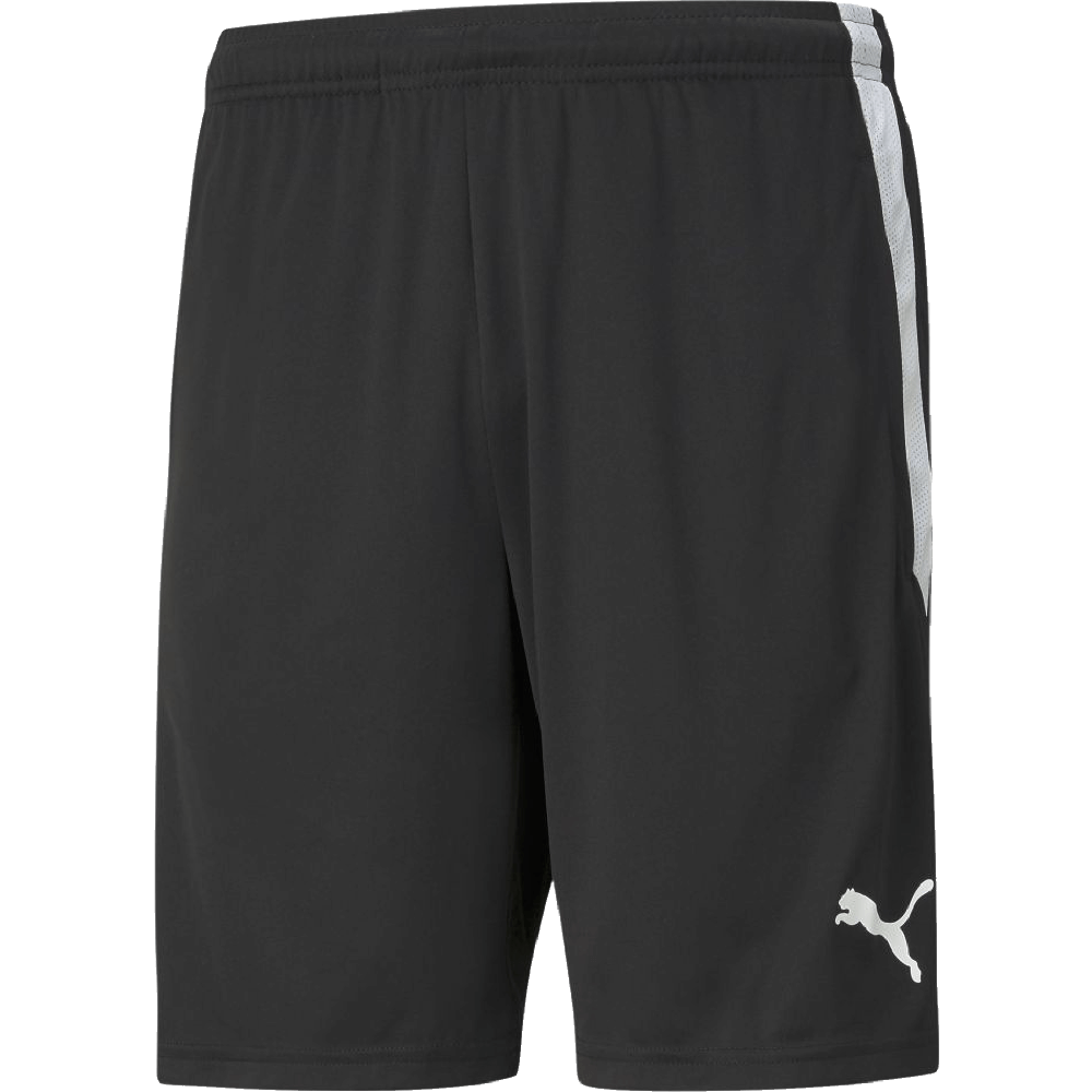 Puma Team Liga Training Shorts