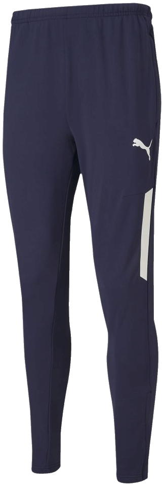 Puma Team Liga Trainingshose Training Pants