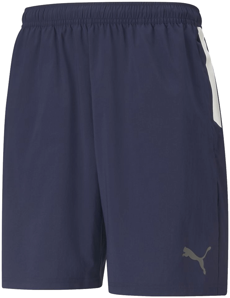 Puma Team Liga Woven Shorts
