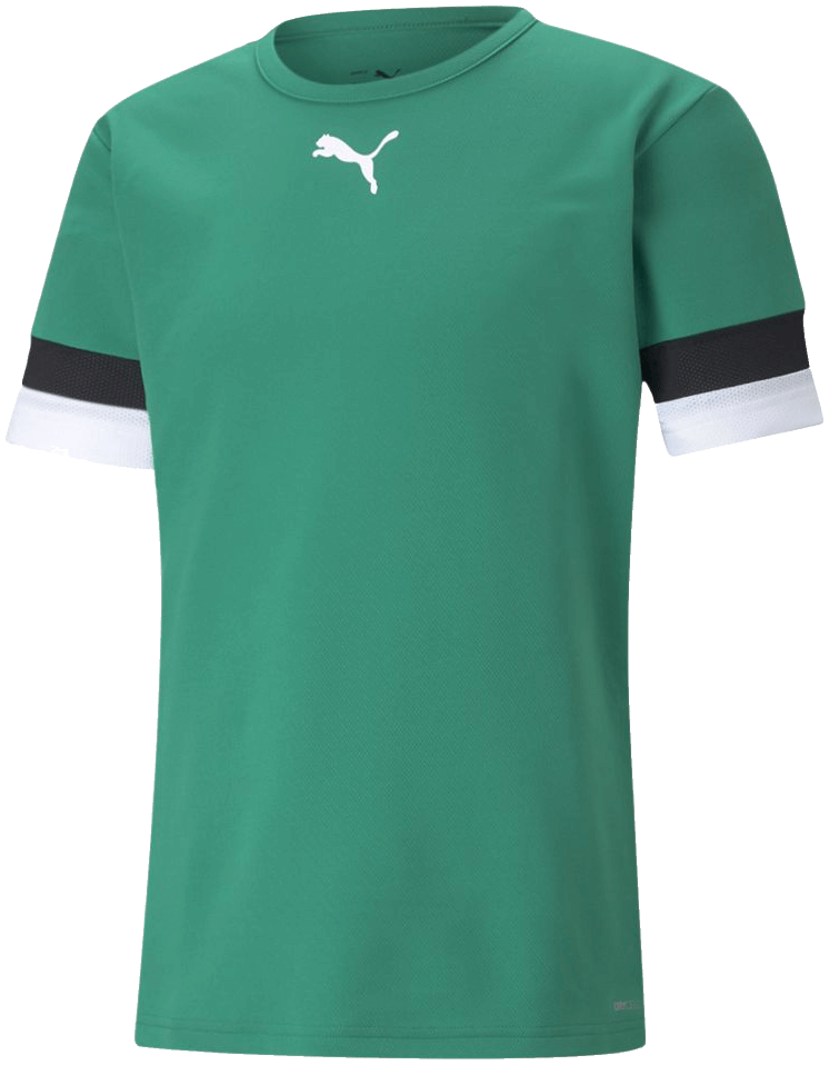 Puma Team Rise Fussball Trikot